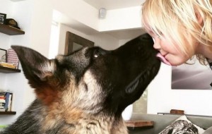 Perro rescatado de un matadero en Beijing ama a su nueva familia