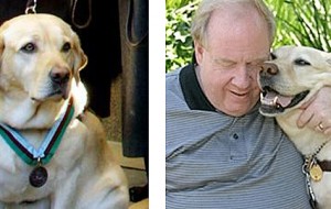 La historia de los dos perros guía que salvaron a sus propietarios en el World Trade Center