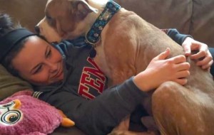 Este triste pitbull ha sido, por fin, adoptado, ahora no puede dejar de abrazar a su nueva mamá...