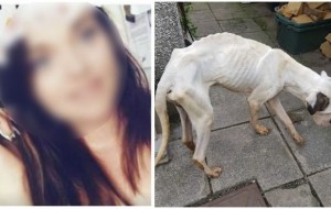Esta mujer se separó de su pareja y por esa razón, dejo sin agua y comida a sus perros durante 3 semanas
