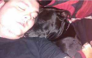 Este perro sintió los deseos de su dueño de suicidarse y le salvó la vida