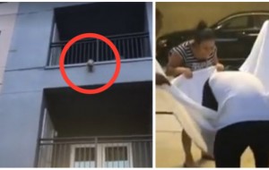 VÍDEO: Vieron a un perro colgando de un balcón y así fue cómo lo rescataron: