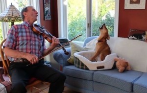 Este hombre toca el violín y derrepente su perrito comienza a cantar...