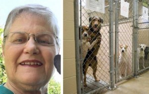 Esta abuela pregunta por el perro más viejo y menos querido y mira quiénes salen