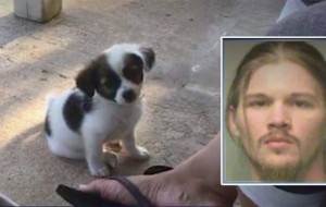 Este hombre le partió el cuello al cachorro porque no le dieron la contraseña del wi-fi
