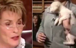 Una jueza deja que el perro decida quién es su verdadero dueño. Increíble lo que pasó cuando lo soltaron