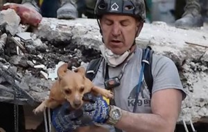 Dog Chow solidarizó con mascotas que tuvieron problemas en el terremoto de México en este gesto
