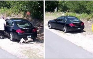 Hombre detiene su coche donde nadie puede verle y lo que hace, enfurece a todos